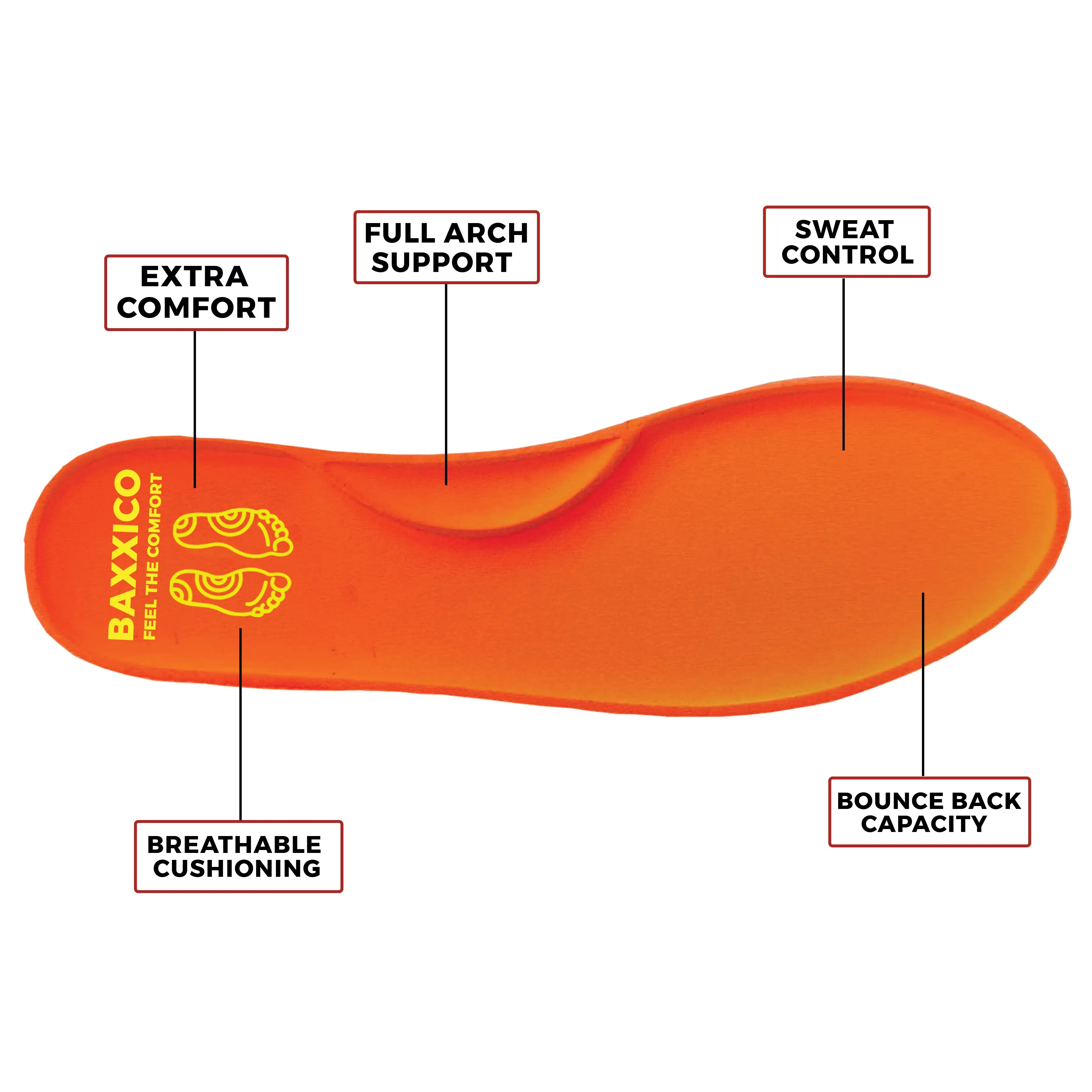 Multipurpose Support Insoles- Feel The Comfort